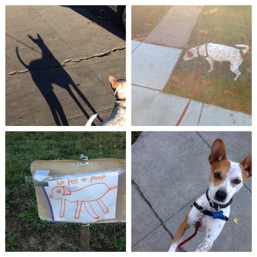 Processed with Moldiv